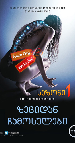 ზეციდან ჩამოსულები / Falling Skies