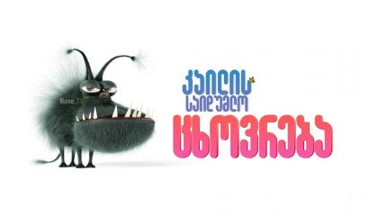 კაილის საიდუმლო ცხოვრება / The Secret Life of Kyle / kailis saidumlo cxovreba