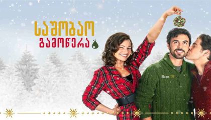 საშობაო გამოწვევა / The Christmas Setup