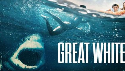 დიდი თეთრი ზვიგენი / Great White
