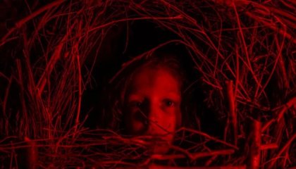 კლასიკური საშინელებათა ისტორია / A Classic Horror Story