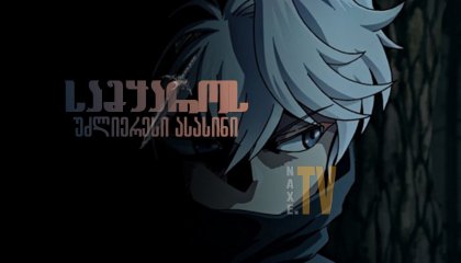 სამყაროს უძლიერესი ასასინი / The World's Finest Assassin