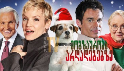 მოგზაურობა არდადეგებზე / Holiday Road Trip