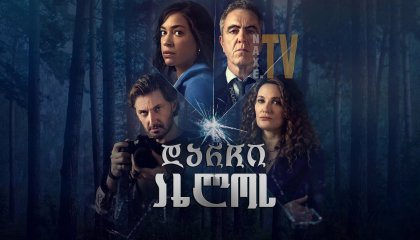 დარჩი ახლოს / Stay Close