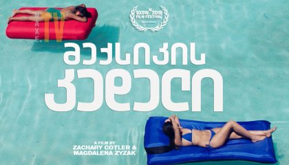 მექსიკის კედელი / The Wall of Mexico