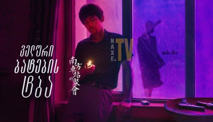 ველური ბატების ტბა / The Wild Goose Lake (Nan fang che zhan de ju hui)