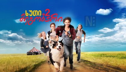 ხუთი მეგობარი 2 / Famous Five 2