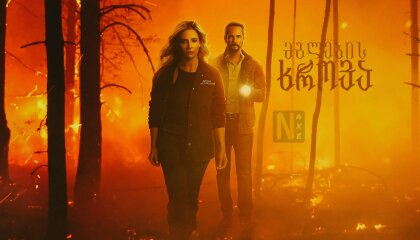 მგლების ხროვა / Wolf Pack