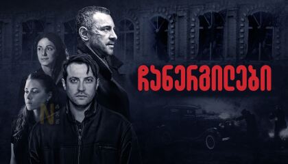 ჩანერგილები / Under Correction