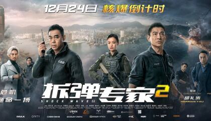 დამრტყმელი ტალღა 2 / Shock Wave 2 (Chai dan zhuan jia 2)