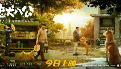 ბა ტონგი / Hachiko (Zhong quan ba gong)