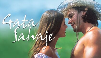 ველური კატა / Gata salvaje