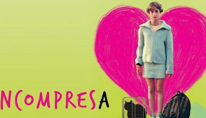 გამიგე თუ შეგიძლია / Misunderstood (Incompresa)