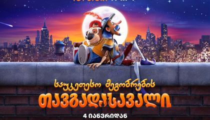 საუკეთესო მეგობრების თავგადასავალი / The Inseparables