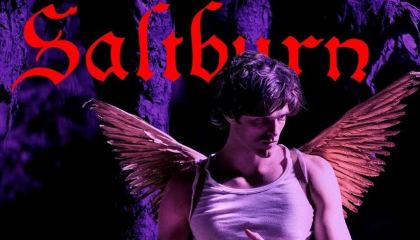 სოლტბერნი / Saltburn