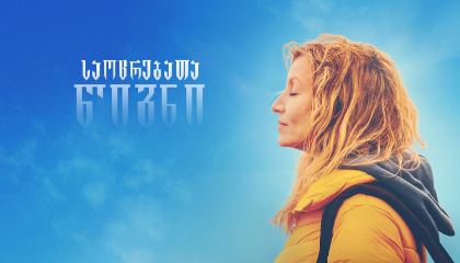 საოცრებათა წიგნი / The Book of Wonders (La chambre des merveilles)