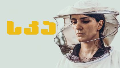 სკა / Hive (Zgjoi)