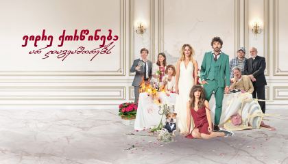 ვიდრე ქორწინება არ დაგვაშორებს / The Wedding Unplanner (Hasta que la boda nos separe)