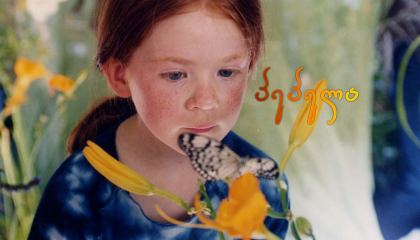 პეპელა / The Butterfly