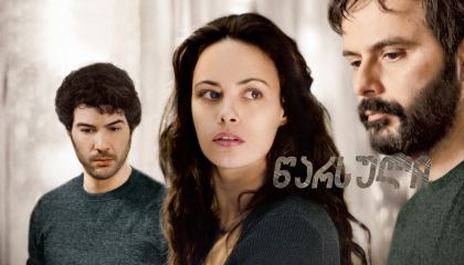 წარსული / The Past