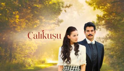 ნარჩიტა / Çalikusu