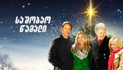 საშობაო წამალი / The Christmas Cure