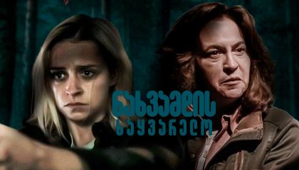 ნახვამდის საყვარელო / Goodbye Honey