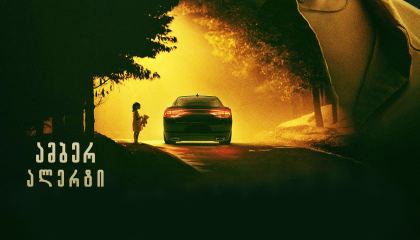 ამბერ ალერტი / Amber Alert