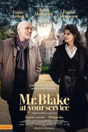 მისტერ ბლეიკი თქვენს სამსახურშია! / Mr. Blake at Your Service