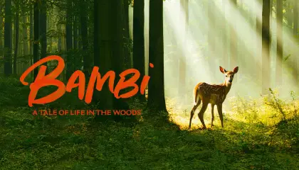 ბემბი: ტყის ცხოვრების ამბავი / Bambi: A Tale of Life in the Woods