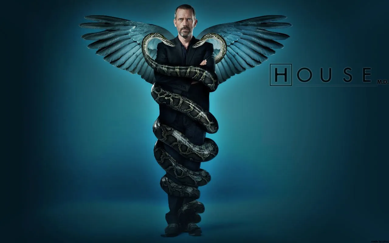 ექიმი ჰაუსი სეზონი 3 სეზონი 3 (ქართულად) / House M.D. Season 3 ქართულად / ekimi hausi sezoni 3 qartulad sezoni 3