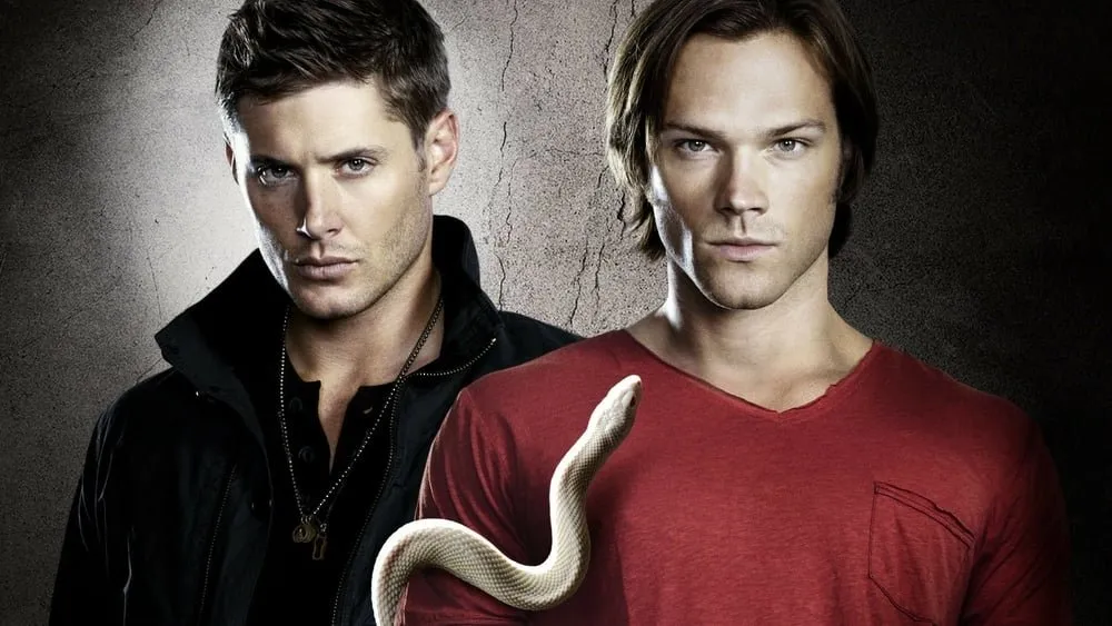 ზებუნებრივი სეზონი 6 სეზონი 6 (ქართულად) / Supernatural Season 6 ქართულად / zebunebrivi sezoni 6 qartulad sezoni 6