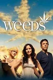 მოსაწევი სეზონი 4 სეზონი 4 (ქართულად) / Weeds Season 4 ქართულად / mosatsevi sezoni 4 qartulad sezoni 4