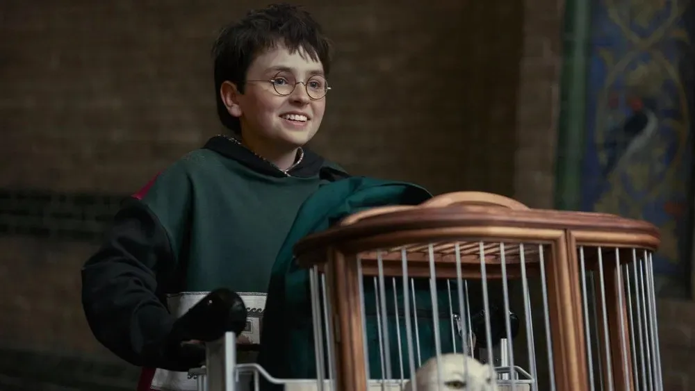 ჰარი პოტერი (ქართულად) / Harry Potter (Hari Poteri Qartulad) ქართულად 2026 / hari poteri qartulad