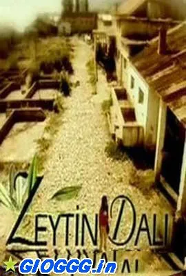 ზეთისხილის ფილიალი (ქართულად) / Zeytin Dali 2026 / zetiskhilis piliali qartulad