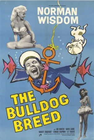 მისტერ პიტკინი: ბულდოგის ჯიში (ქართულად) / The Bulldog Breed ქართულად 2026 / mister pitkini buldogis jishi qartulad