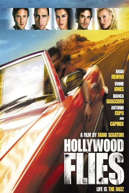 მძარცველები ჰოლივუდიდან (ქართულად) / Hollywood Flies ქართულად 2026 / mdzartsvelebi holivudidan qartulad
