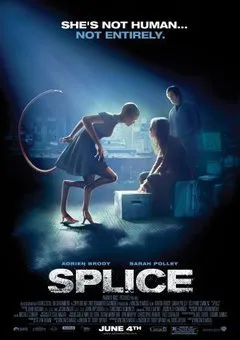 ჰიმერა (ქართულად) / Splice ქართულად 2026 / himera qartulad