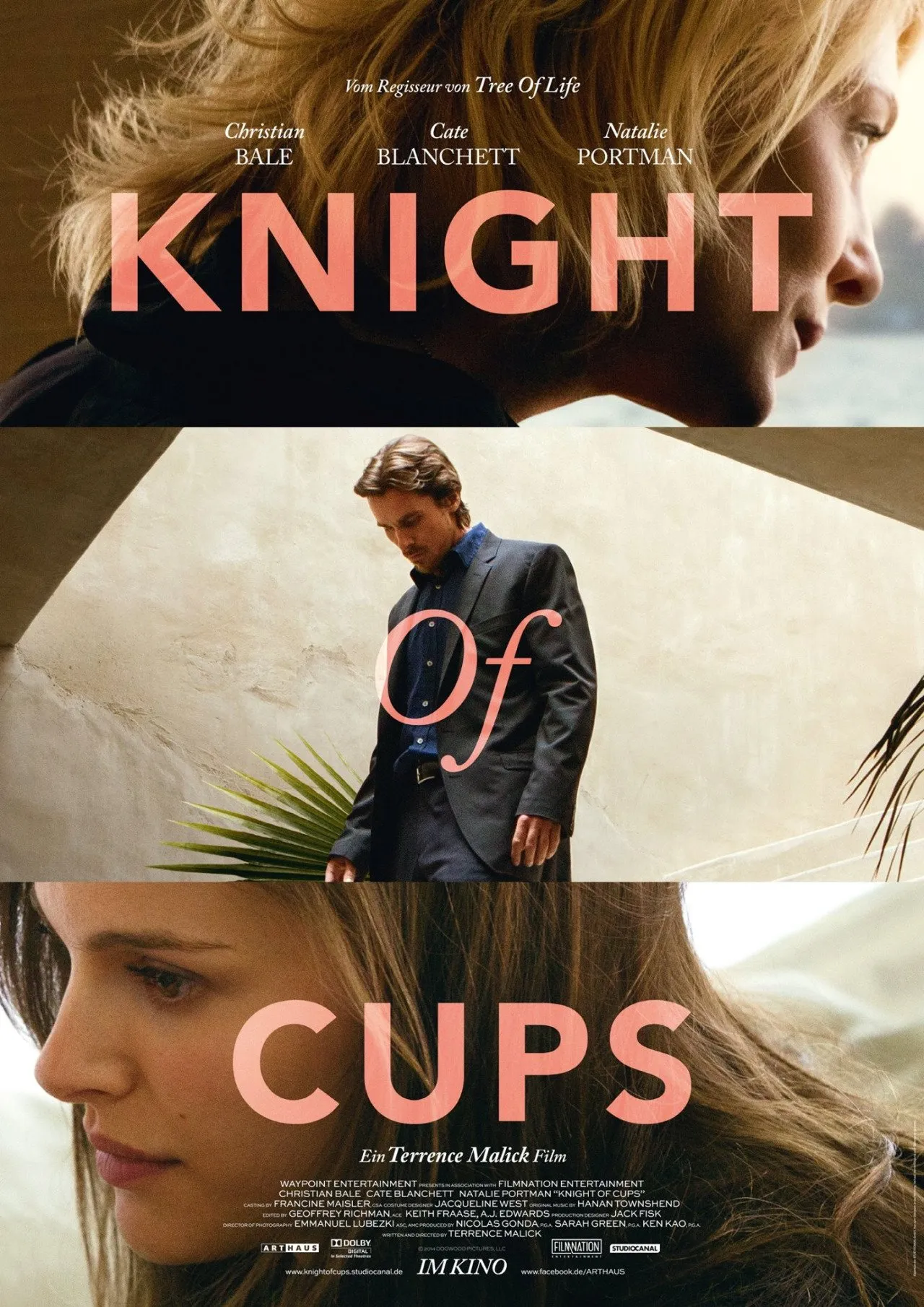 თასების რაინდი (ქართულად) / Knight of Cups (Tasebis Raindi Qartulad) ქართულად 2026 / tasebis raindi qartulad