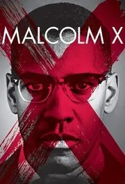 მალკოლმ X (ქართულად) / Malcolm X ქართულად 2026 / malkolm x qartulad