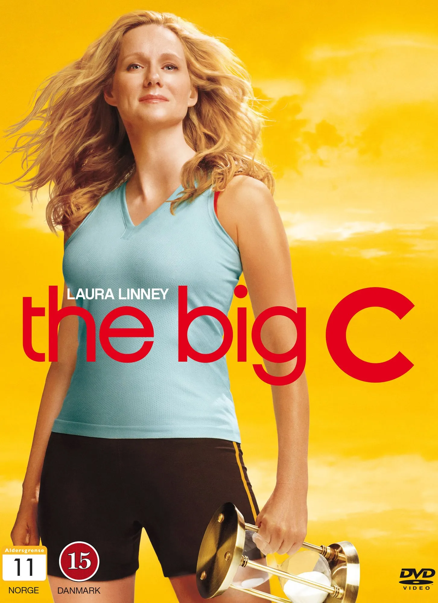 დიდი გეგმა სეზონი 2 (ქართულად) / The Big C Season 2 ქართულად 2026 / didi gegma sezoni 2 qartulad