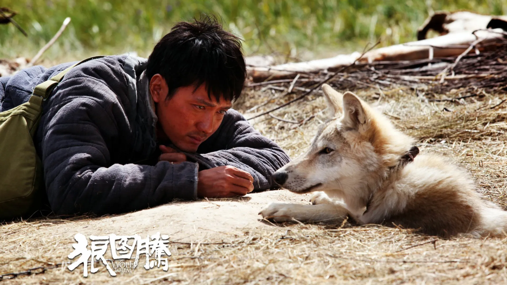 მგელი ტოტემი (ქართულად) / Wolf Totem (Mglis Totemi Qartulad) ქართულად 2026 / mgeli totemi qartulad