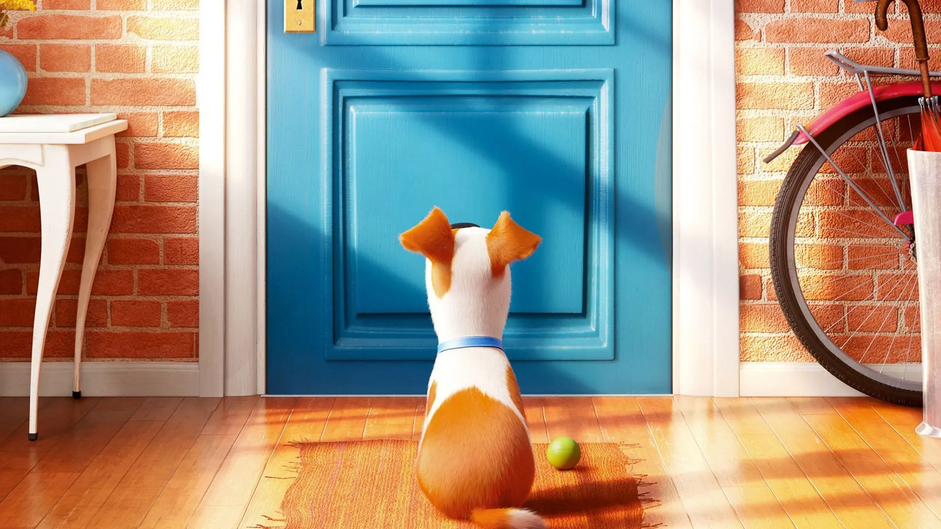 ცხოველთა საიდუმლო ცხოვრება (ქართულად) / The Secret Life of Pets ქართულად 2026 / tskhovelta saidumlo tskhovreba qartulad