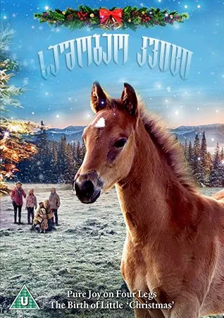 საშობაო კვიცი (ქართულად) / The Christmas Colt (Sashobao Kvici Qartulad) ქართულად 2026 / sashobao kvitsi qartulad