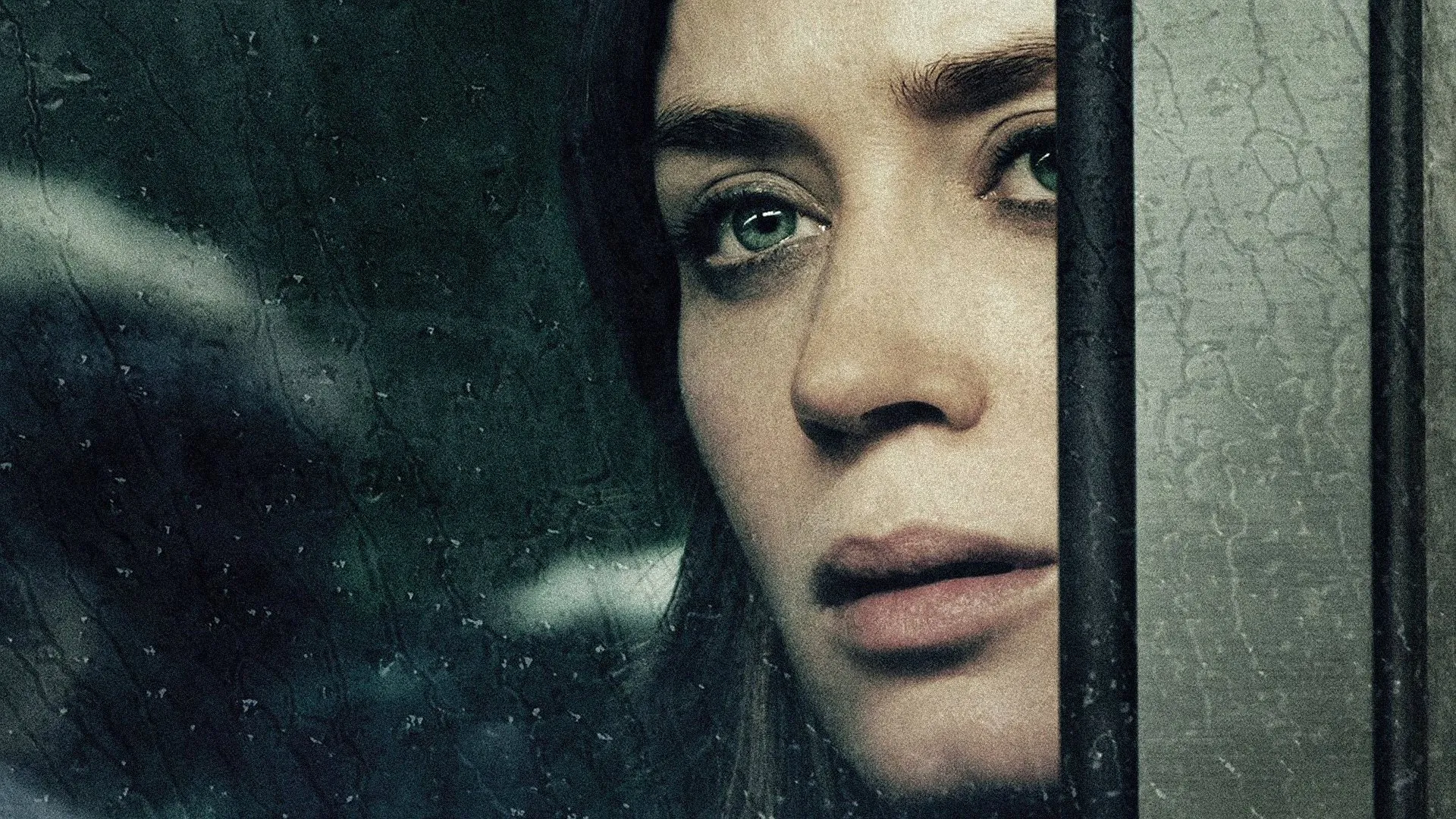 გოგონა მატარებელში (ქართულად) / The Girl on the Train (Gogona Matarebelshi Qartulad) ქართულად 2026 / gogona matarebelshi qartulad