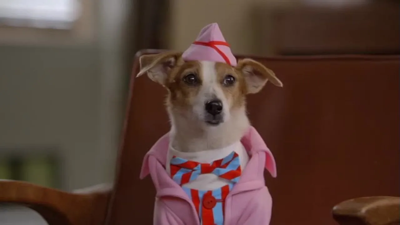 სანტა ლაპუსი 2: სანტა პუპსი (ქართულად) / Santa Paws 2: The Santa Pups ქართულად 2026 / santa lapusi 2 santa pupsi qartulad