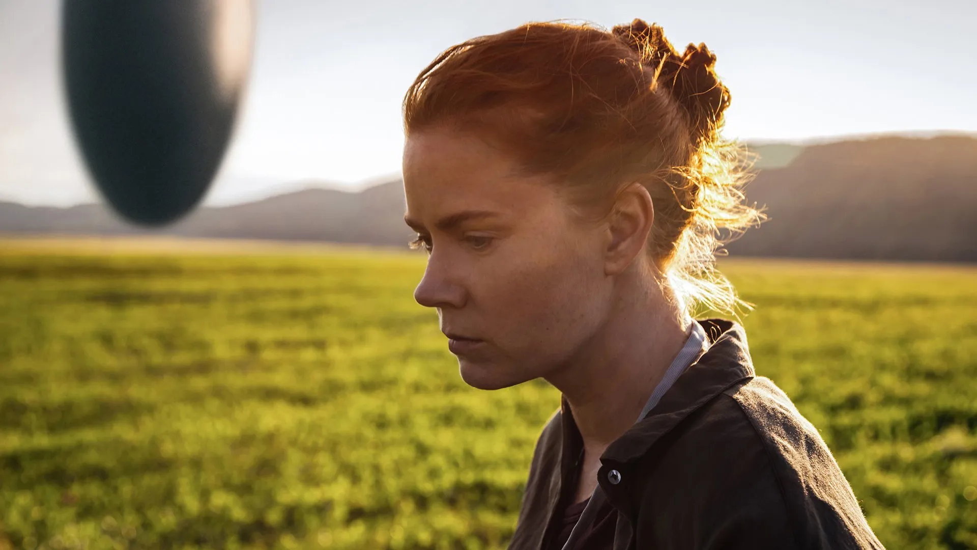 ჩამოსვლა (ქართულად) / Arrival (Chamosvla Qartulad) ქართულად 2026 / chamosvla qartulad
