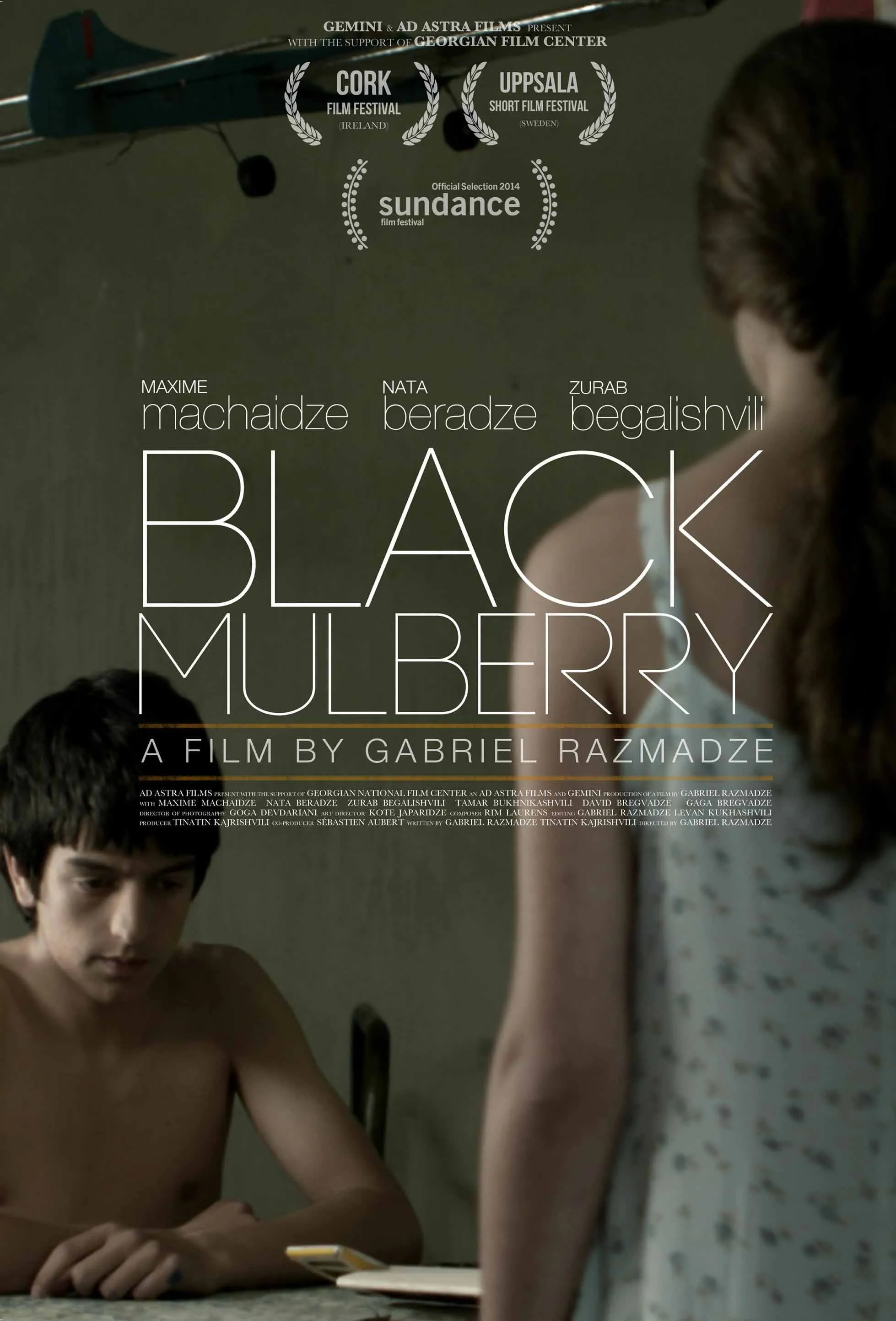 შავი თუთა (ქართულად) / Black Mulberry ქართულად 2026 / shavi tuta qartulad