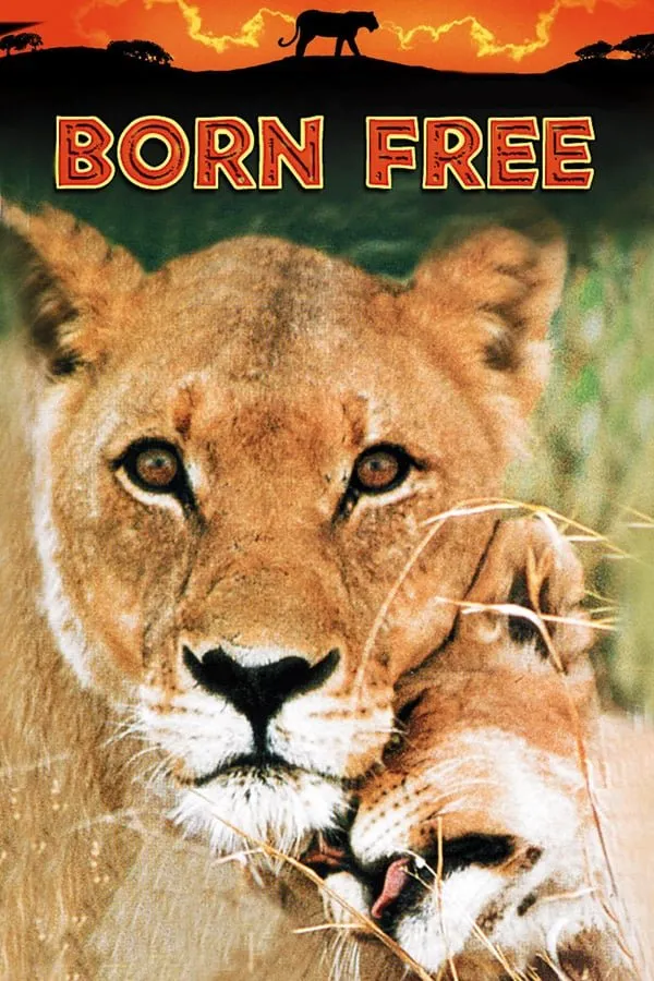 დაბადებული თავისუფლად (ქართულად) / Born Free ქართულად 2026 / dabadebuli tavisuplad qartulad