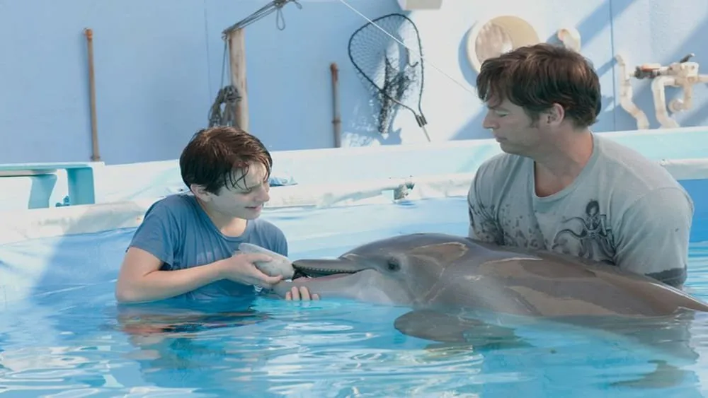 დელფინის ამბავი (ქართულად) / Dolphin Tale ქართულად 2026 / delpinis ambavi qartulad